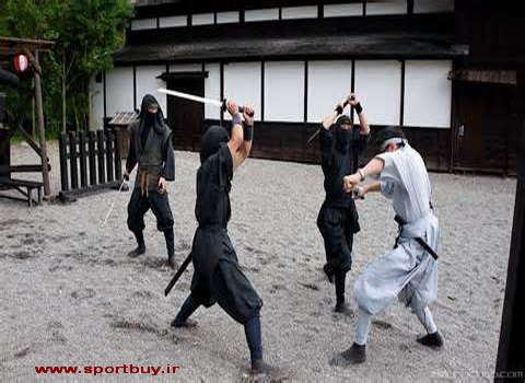 Ninja Training